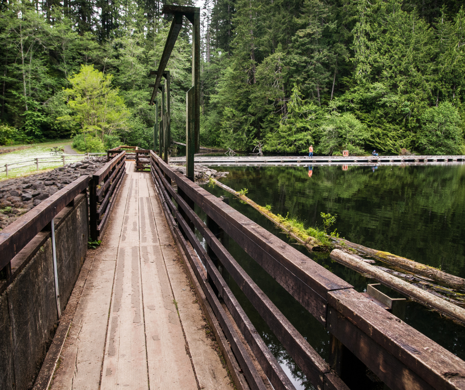 Wooden dock on the water leading to the rocky beach and large green trees at Lake Sylvia State Park