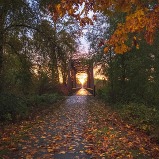 A bridge extends toward the sunset. It's fall and there are wet leaves over the road.