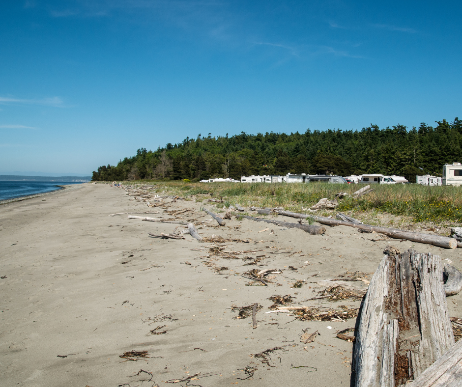 RVs lined up at the campground at Fort Flagler looking out onto the beach