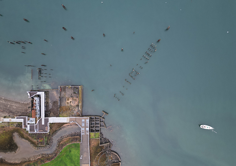 Aerial photo of the creosote-soaked pilings near Dickman Mill Park in Tacoma, WA