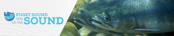 Puget Sound Day on the Sound 2025 header