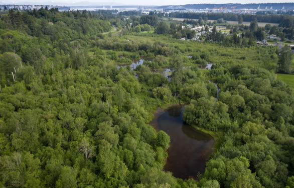 aerial photo of habitat site