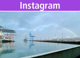 Feb24 Instagram: Have a Rainbow