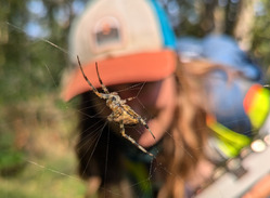 Diary of a Port Biologist: A Sticky Situation