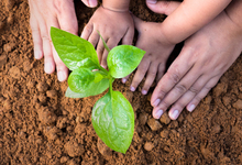 Parent and Child Gardening