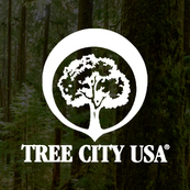 Tree City USA logo