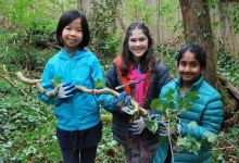 Children holding Plants
