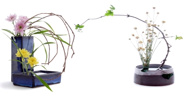 Clay pots and flower arrangements