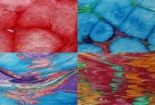 Sample of silk printed scarf