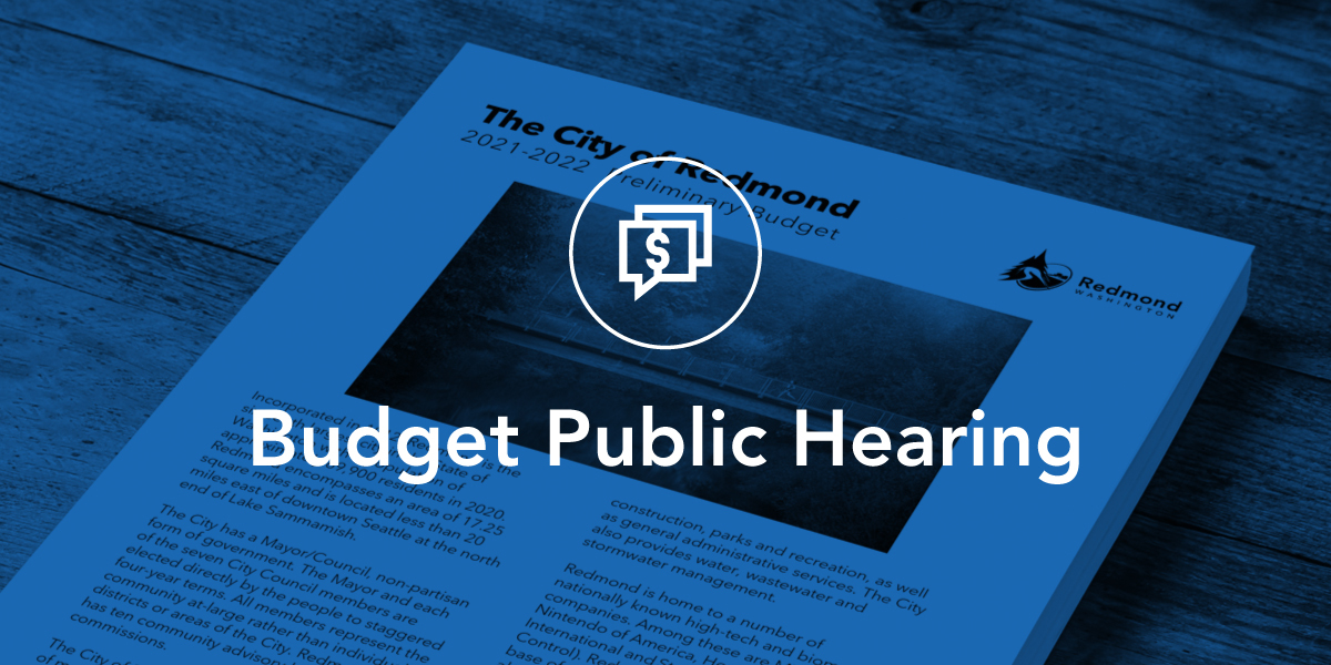 Budget Public Hearing
