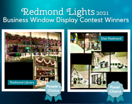 Business Contest Winners - Redmond Lights