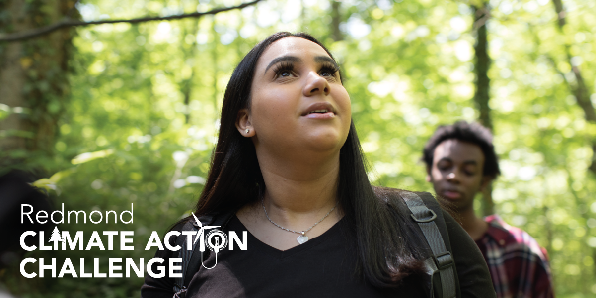 Climate Action Challenge Team Leader