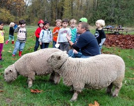 kids and sheep