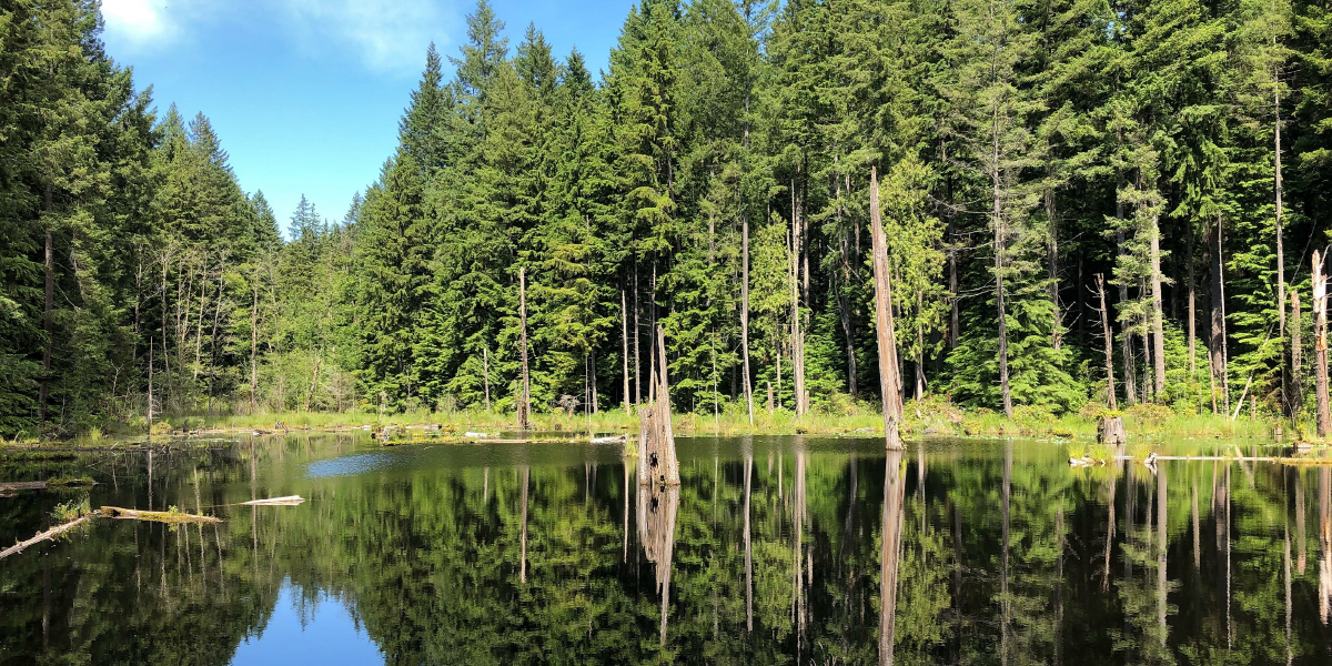 Watershed Preserve