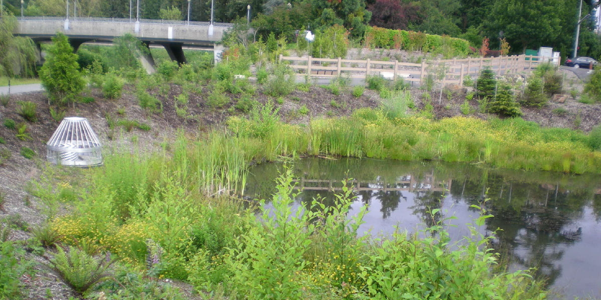 Stormwater Management Action Plan