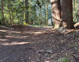 trail restoration