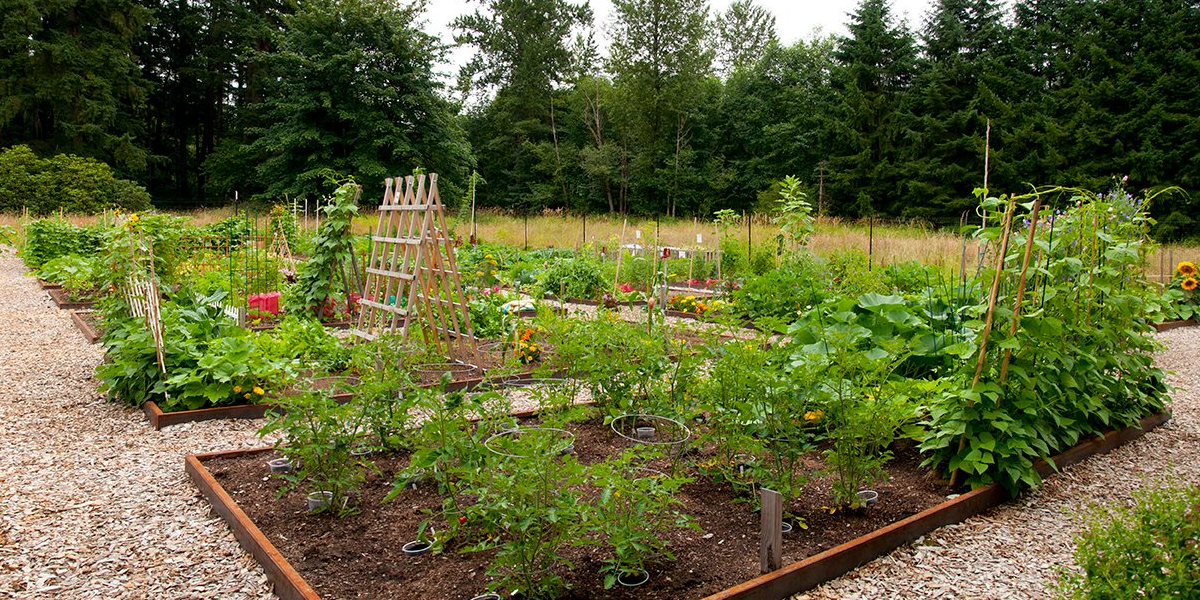 Community Garden