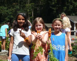 Summer Camps at the Farm