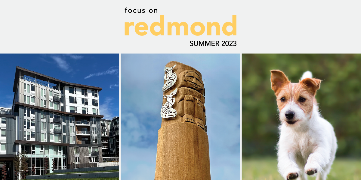 Summer Focus 2023