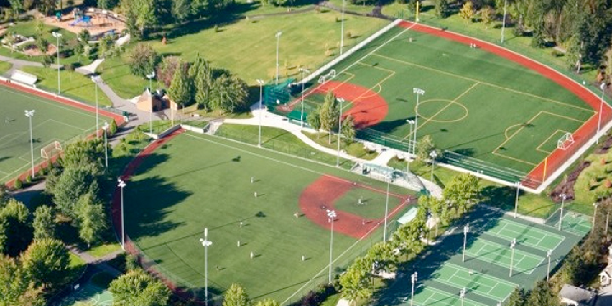 Grass Lawn Turf Replacement