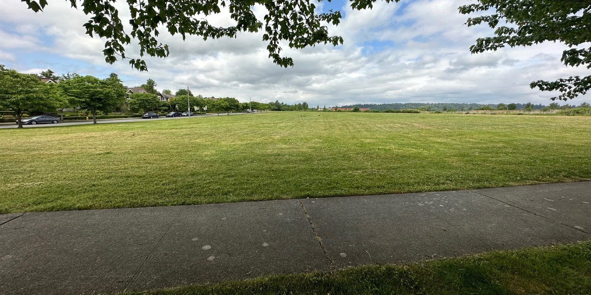 SE Redmond Park Planning