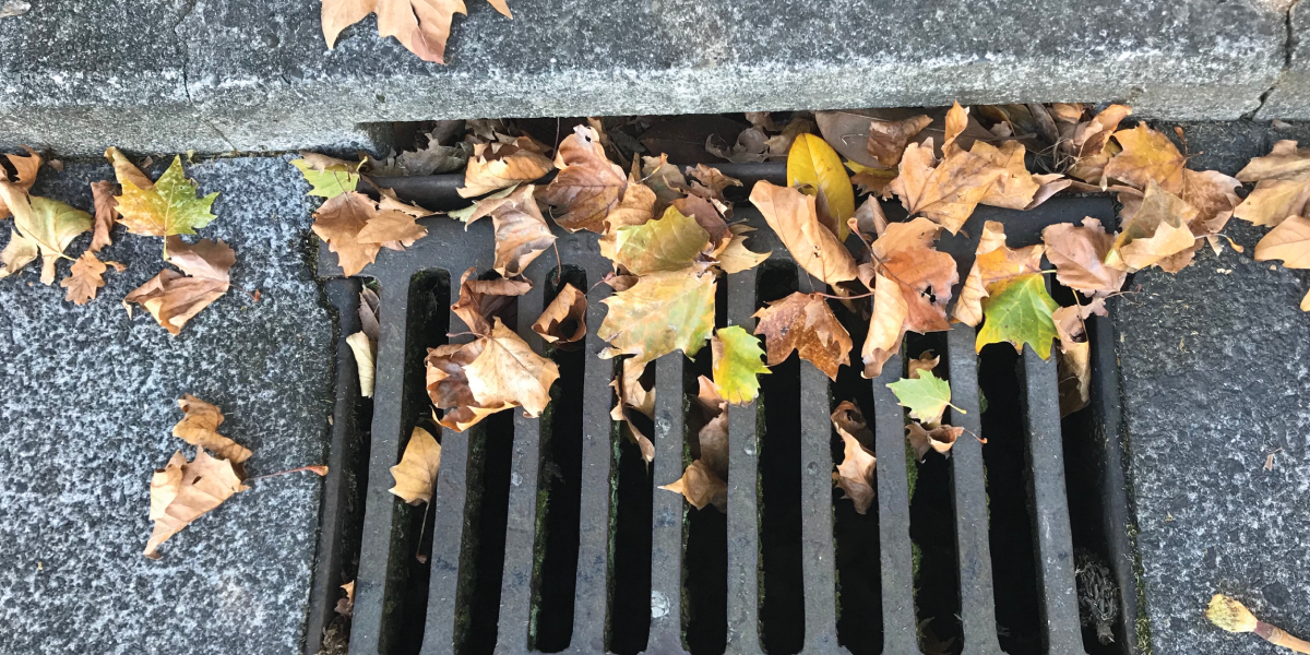 Celebrate Redmond’s Newest Park, Keep Your Storm Drains Clear to ...