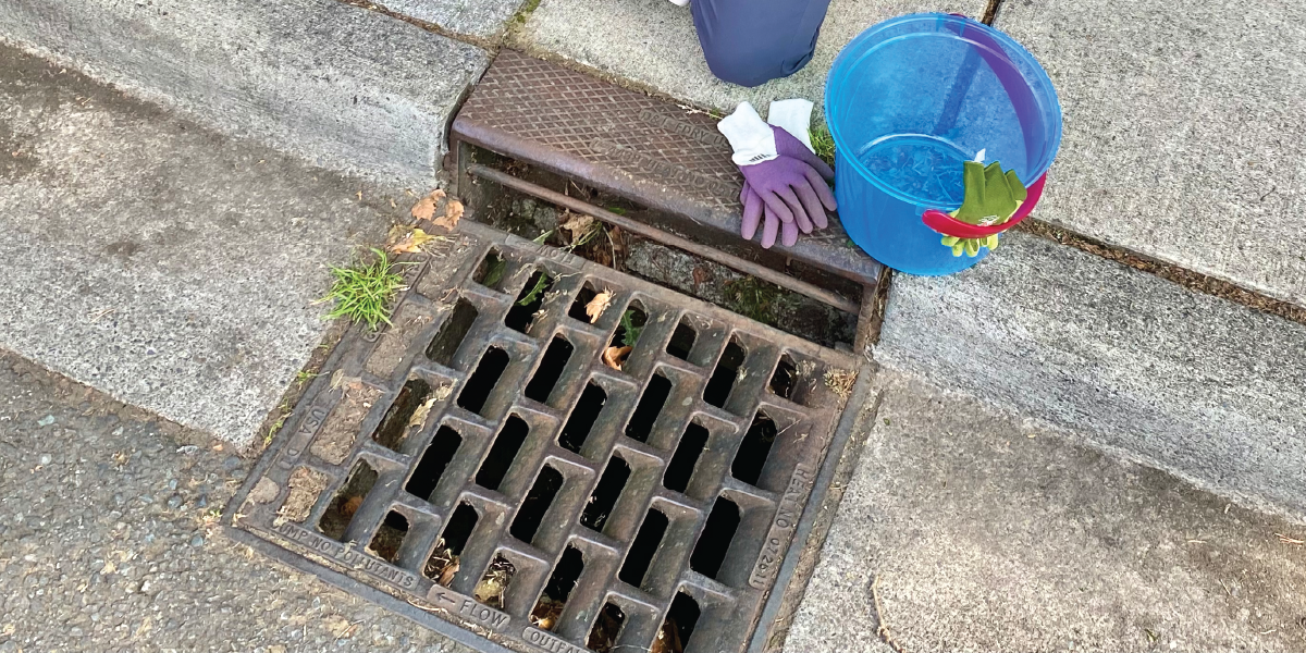 Adopt A Drain