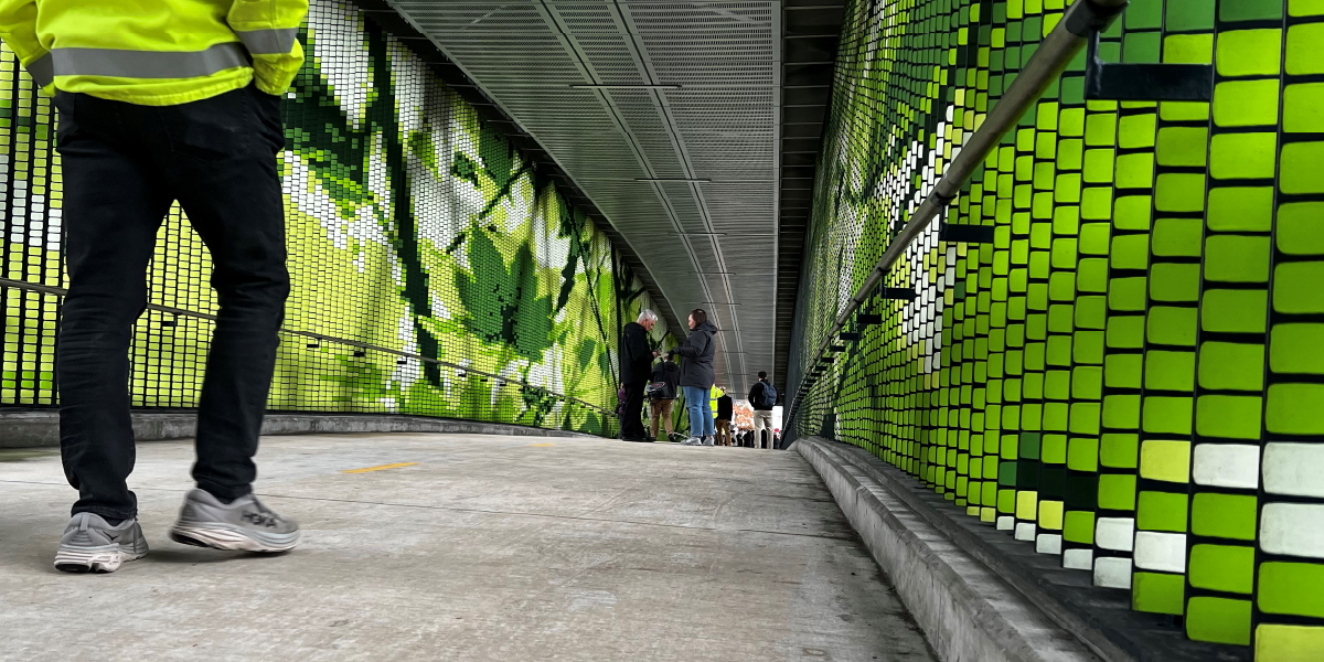 Overlake Village Station Pedestrian Bridge