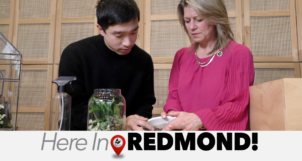 Here in Redmond - Feb 2024