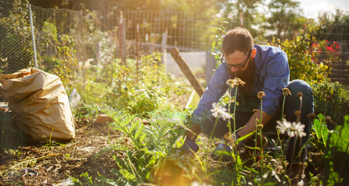 Sustainability Gardening