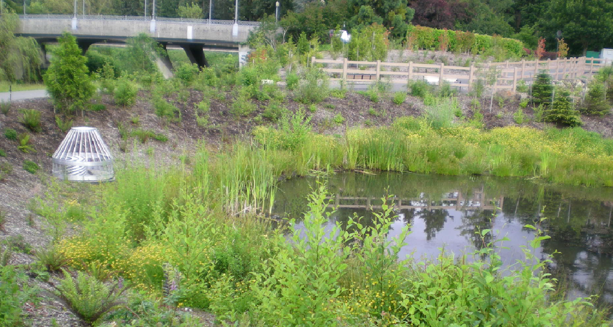 Stormwater Management Plan