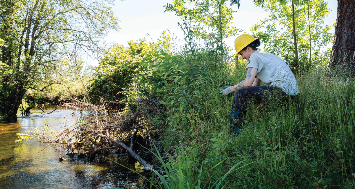 Help Remond Become More Sustainable