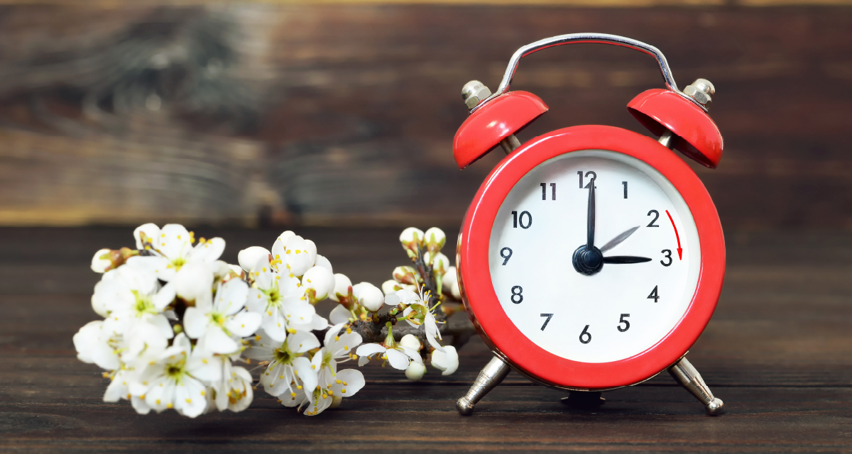 Daylight Savings Time