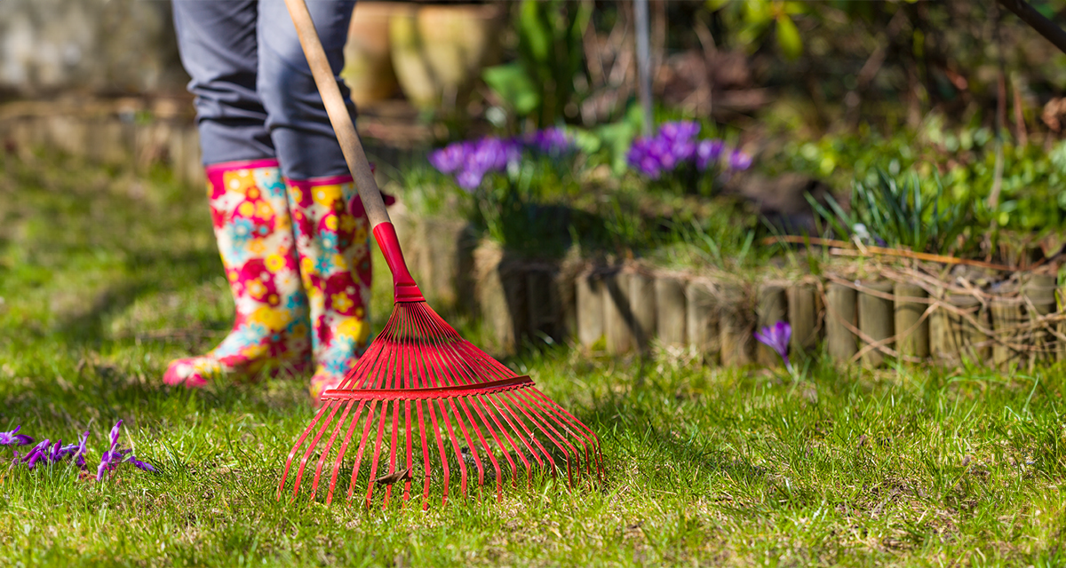 Natural Lawn Care