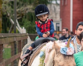 Young child riding on a pony that has a decorative unicorn horn