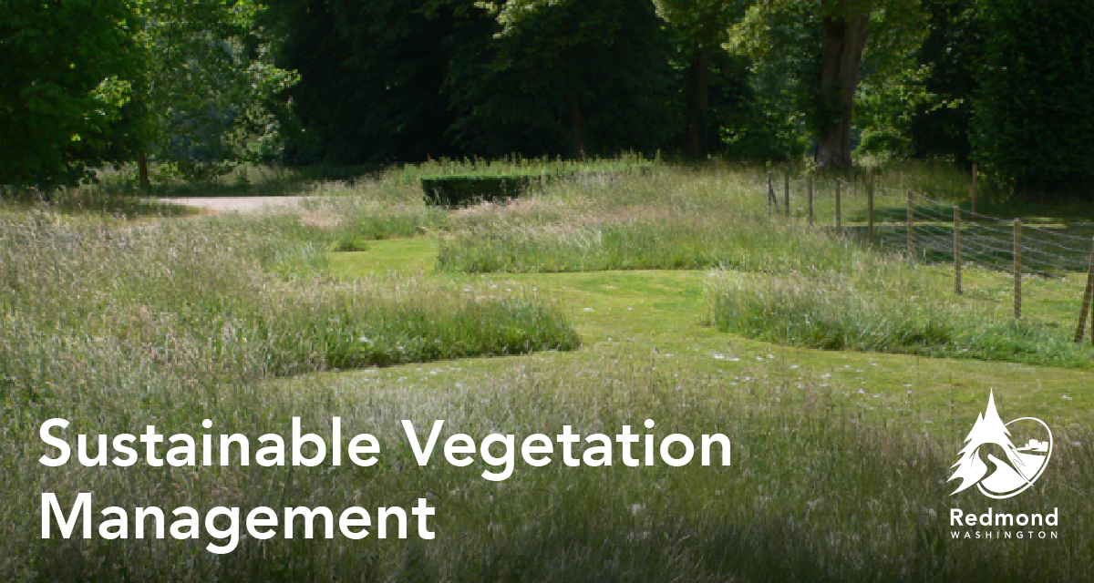 Vegetation Management