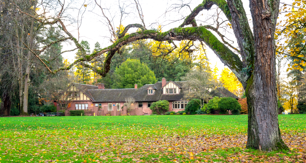 Marymoor Park Survey