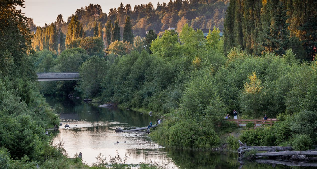 Share Your Feedback on Stormwater and Surface Water