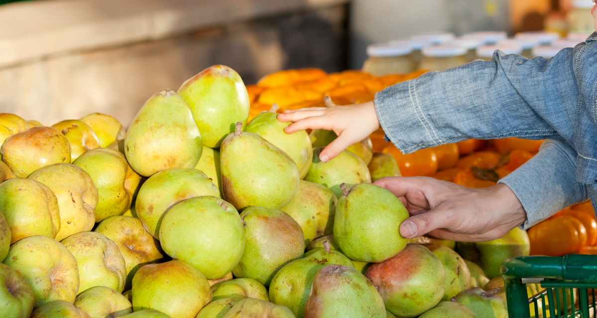 Get Help for Summer Meals