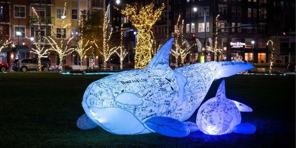 Temporary art sculpture made of illuminated lights