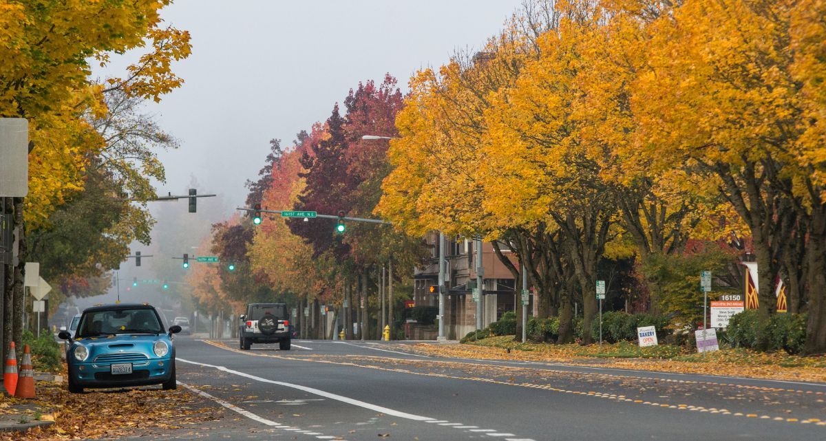 Learn About Redmond’s Fall Traffic Counts