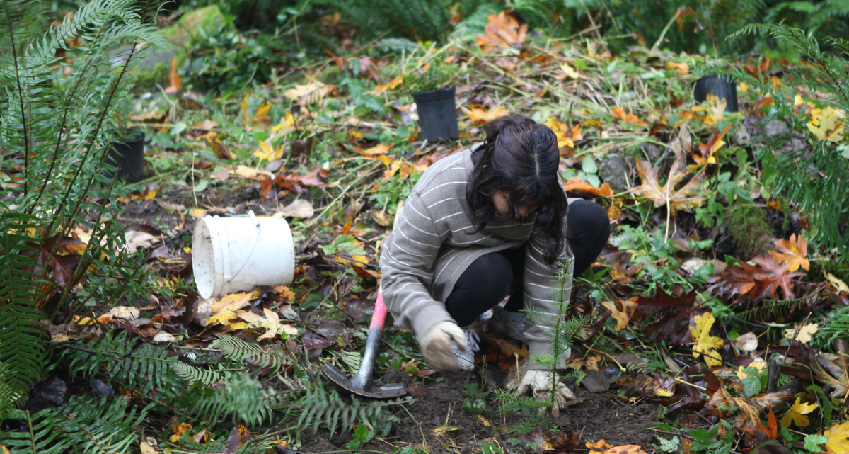 Celebrate Green Redmond Day