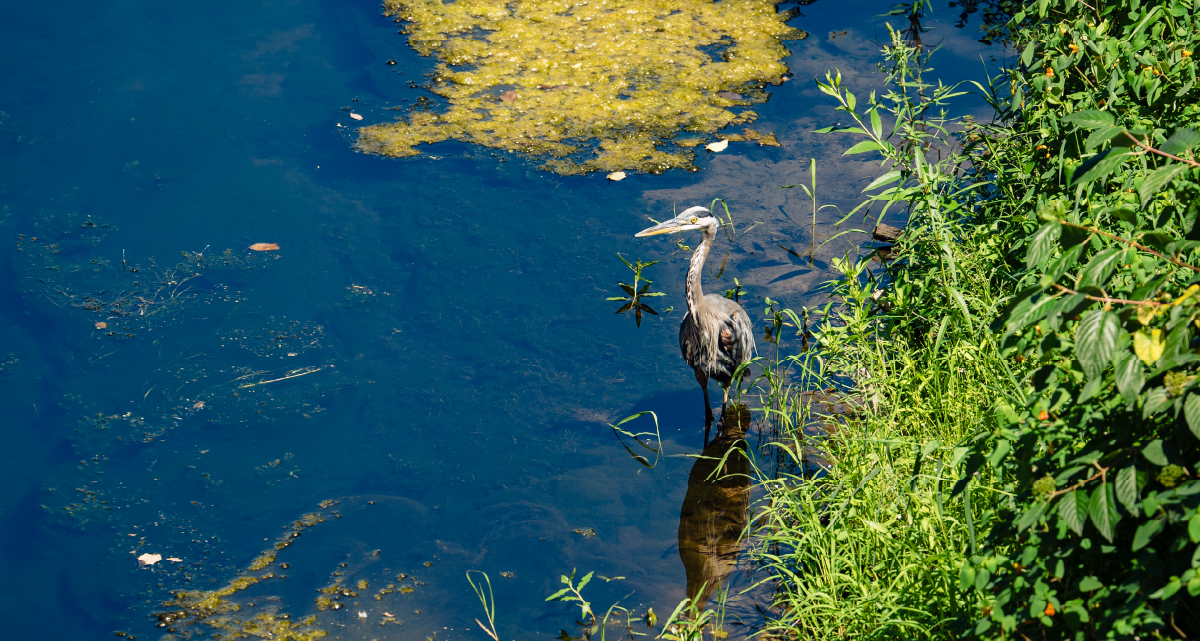 See Environmental Sustainability Progress