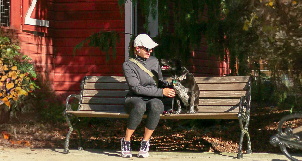 Read the Latest Focus Newsletter