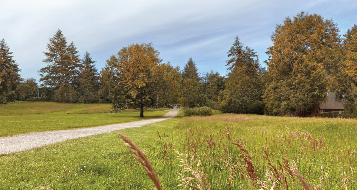 See How Parks Are Leading the Charge as Climate Heroes
