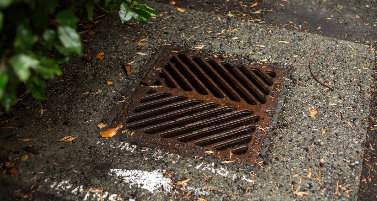 Make a Difference in Your Neighborhood