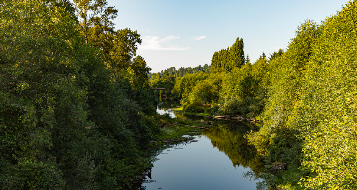 Learn How Redmond 2050 Prepares Our City for Climate Change and Extreme Weather