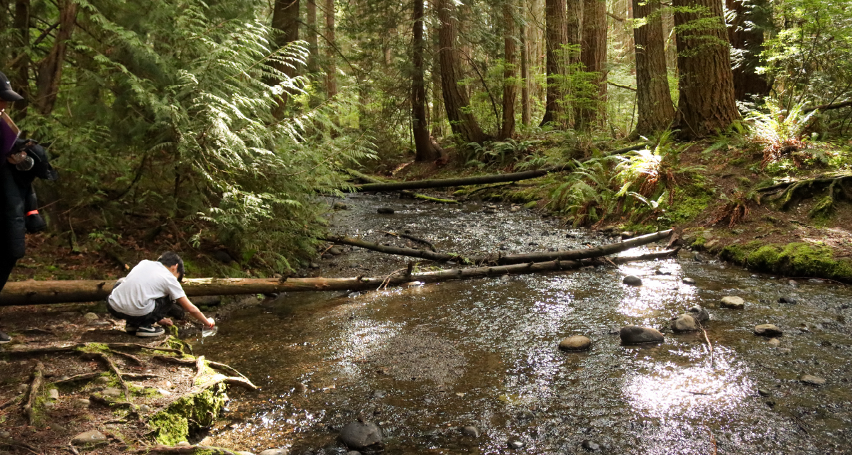 Learn How Redmond is Accelerating Climate Action and Resilience