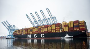 MSC Auriga