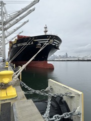 The MSC Brunella from the front, the first ship to plug in at T5